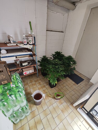 Growreport Bild 7