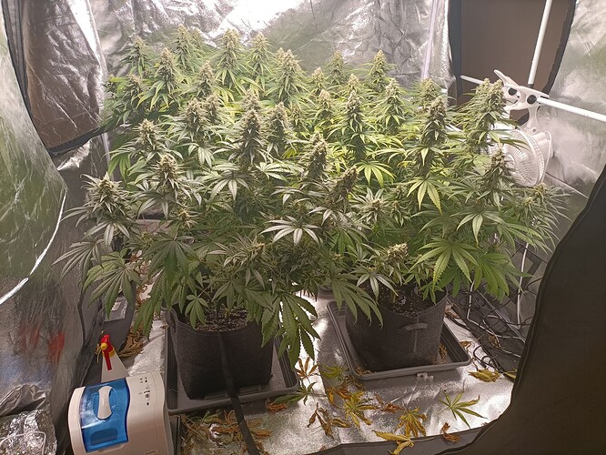 Growreport Bild 5