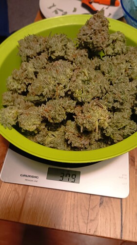 Growreport Bild 13