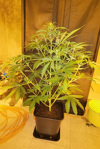 Growreport Bild 30