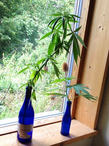 Vase0813