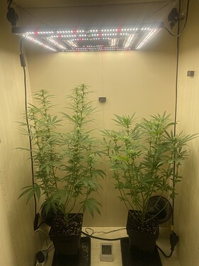 Growreport Bild 7