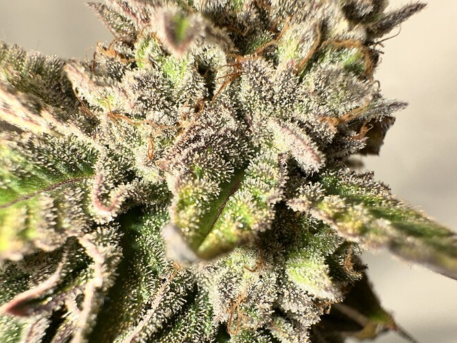 Growreport Bild 10
