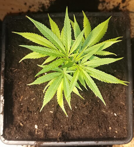 Growreport Bild 15