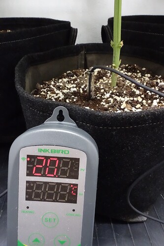 Growreport Bild 5