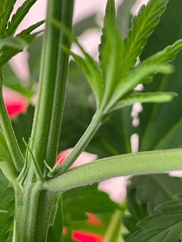 Growreport Bild 17