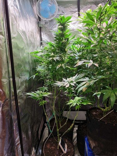 Growreport Bild 19