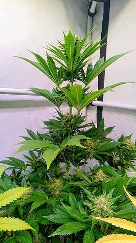 Growreport Bild 14