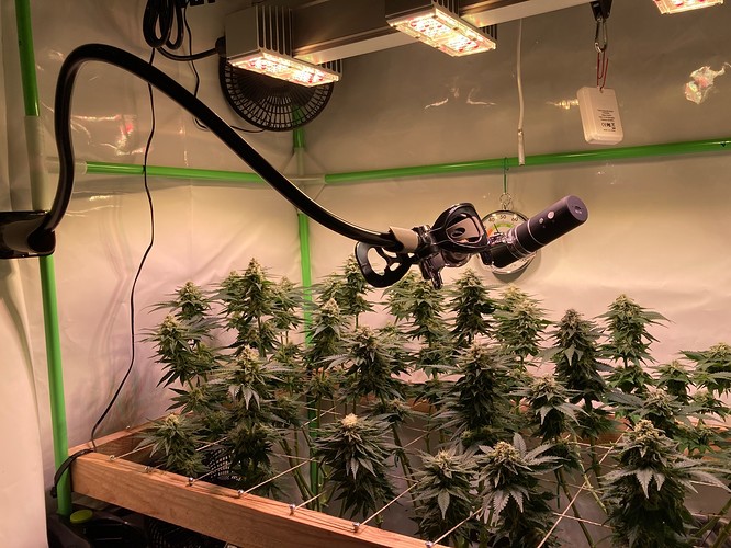 Growreport Bild 11