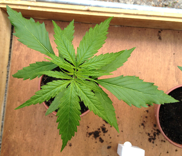 Growreport Bild 23