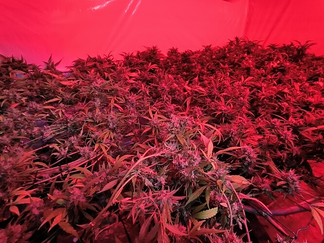 Growreport Bild 11