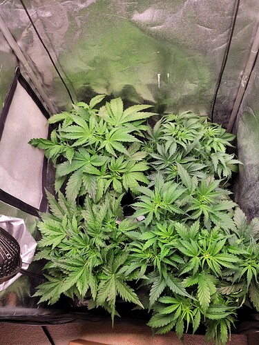 Growreport Bild 10