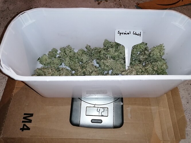 Growreport Bild 4