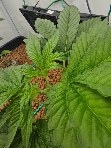 Growreport Bild 8