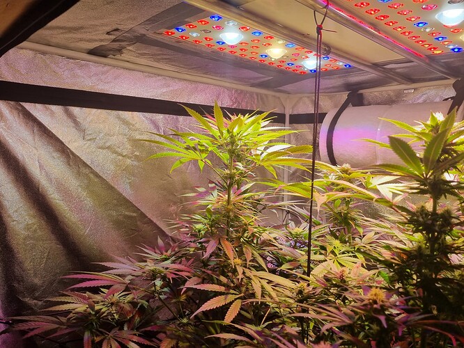 Growreport Bild 17