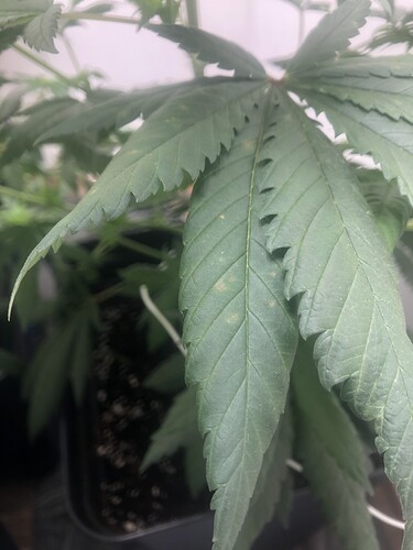 Growreport Bild 13