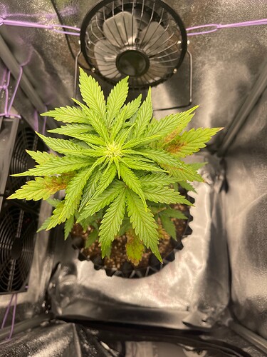 Growreport Bild 2