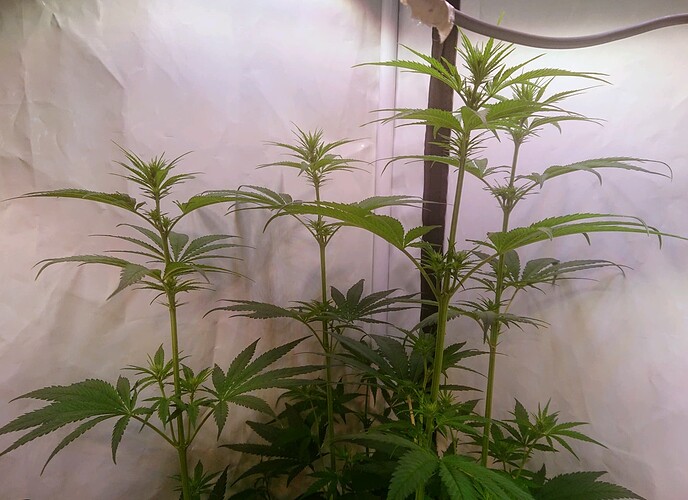 Growreport Bild 17