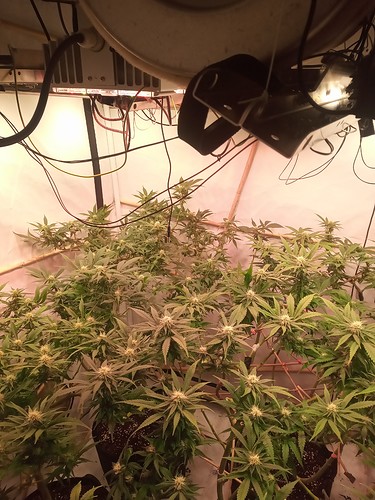 IMG_20210314_221401_492