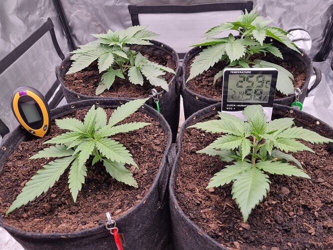 Growreport Bild 23