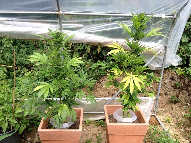 Growreport Bild 26