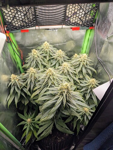 Growreport Bild 10