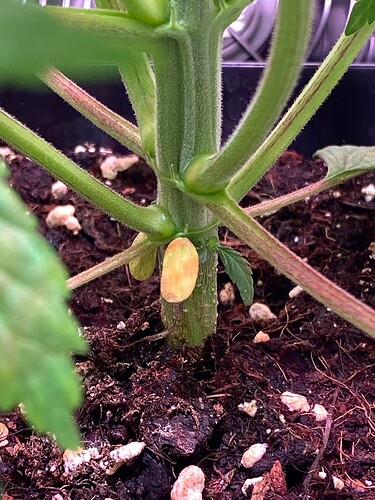 Growreport Bild 9