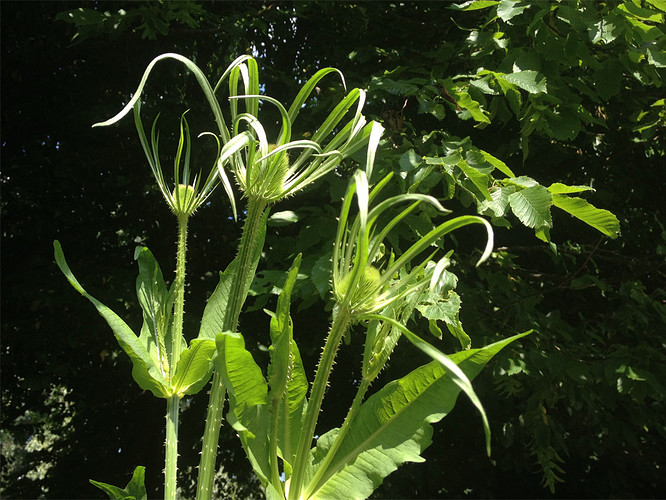 Growreport Bild 8