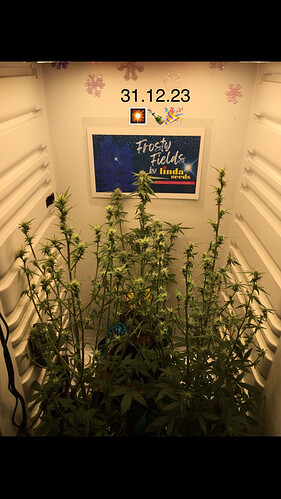 Growreport Bild 16