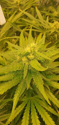 Growreport Bild 11