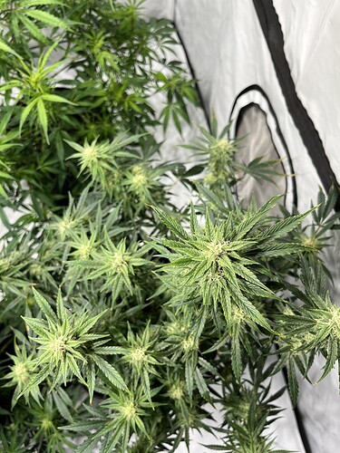 Growreport Bild 22