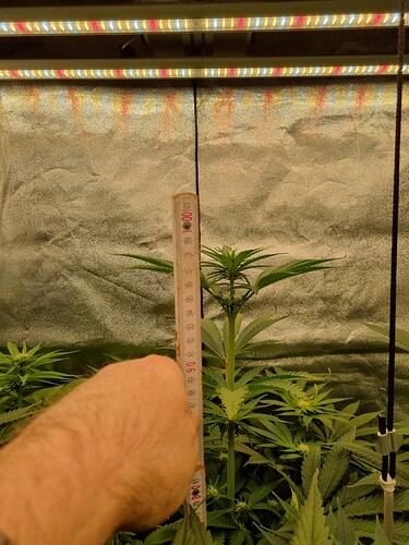 Growreport Bild 3