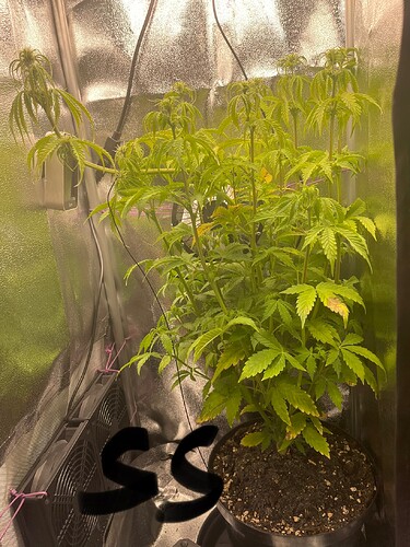 Growreport Bild 4