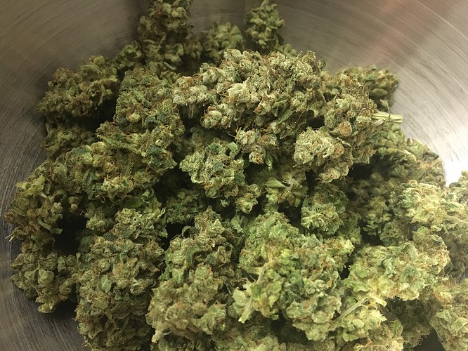 Growreport Bild 5