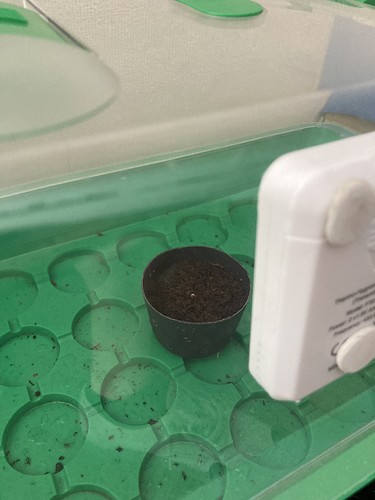 Growreport Bild 2