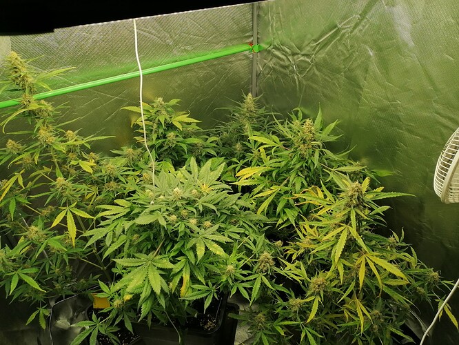 Growreport Bild 2
