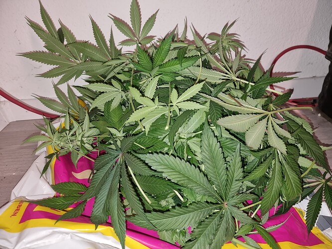 Growreport Bild 10