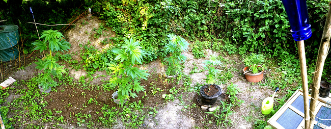 Growreport Bild 11