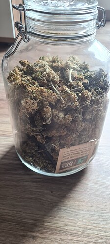 Growreport Bild 6