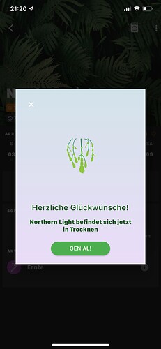 Growreport Bild 9