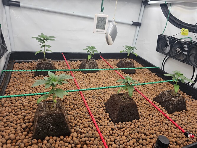 Growreport Bild 4