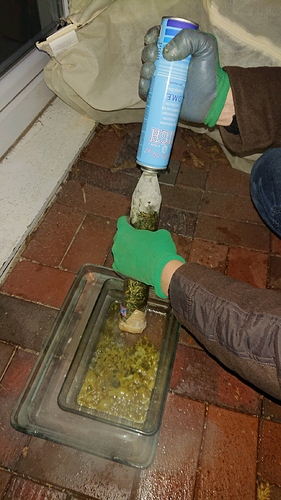 obscura1607874106336