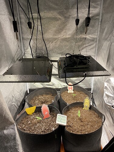 Growreport Bild 5