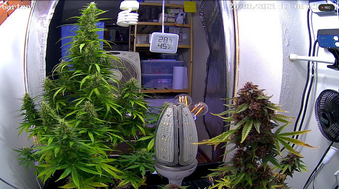Growreport Bild 4