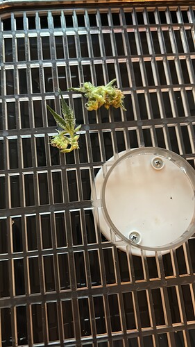Growreport Bild 11