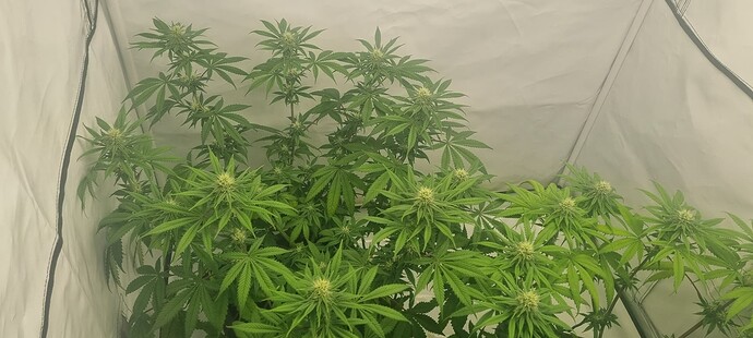 Growreport Bild 14