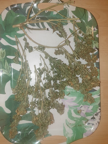 Growreport Bild 18