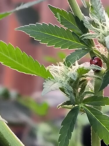 Growreport Bild 13