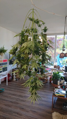 Growreport Bild 15