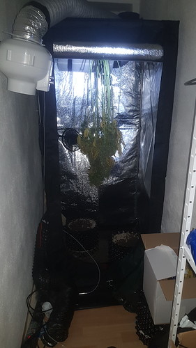 Growreport Bild 1